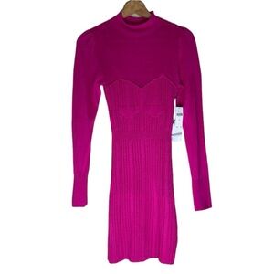 Anthropologie Pink Rose Size XS Long Sleeve Dress